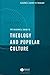 The Blackwell Guide to Theology and Popular Culture by Kelton Cobb