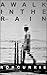 A Walk in the Rain