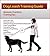 Dog Leash Training Guide