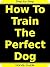 How To Train The Perfect Do...