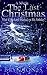 The Last Christmas by Bryn Jones