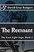 The Remnant (The Last Light...