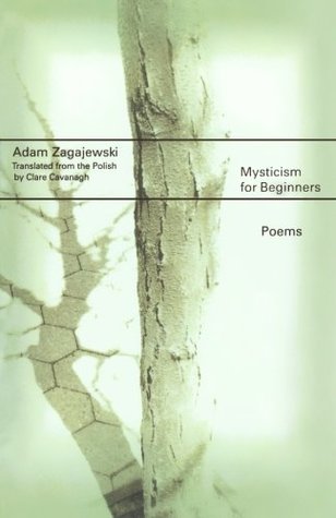 Mysticism for Beginners: Poems (Paperback)