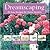 Dreamscaping: 25 Easy Desig...