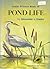 Junior Science Book of Pond Life