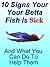10 Signs Your Betta Fish Is Sick