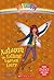 Autumn the Falling Leaves Fairy (Rainbow Magic Special Edition)