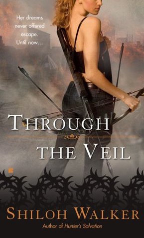 Through the Veil (Veil, #1)