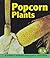 Popcorn Plants by Kathleen V. Kudlinski