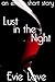Lust in the Night (To Lust a Stranger Book 3)