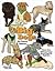 Beautiful Big Dogs - 35 Different Large Breed Dogs Quilt Patterns