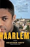 Haarlem: A Novel