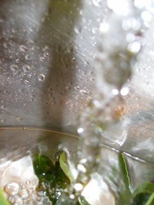 Possums 1: A Gay Watersports Short Story (Kindle Edition)