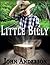 Little Billy: A Boy's Adventure