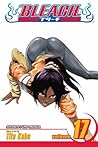 Bleach, Vol. 17 by Tite Kubo
