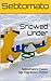 Snowed Under by Sebtomato