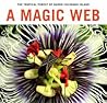 A Magic Web: The ...