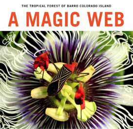 A Magic Web: The tropical forest of Barro Colorado Island (Hardcover)