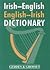 Irish-English / English-Irish Dictionary