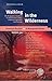 Walking in the Wilderness: The Peripatetic Tradition in Nineteenth-Century American Literature and Painting (American Studies - A Monograph)