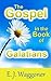 The Gospel in the Book of G...