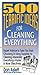 500 Terrific Ideas for Clea...