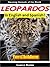 Bilingual Books: Leopardos - Cool Facts for Kids About These Amazing and Powerful Animals - In English and Spanish! (Spanish Books for Children)