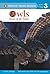 Owls: Birds of the Night (P...