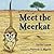 Meet the Meerkat