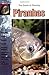 The Guide to Owning Piranhas