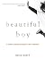Beautiful Boy by David Sheff