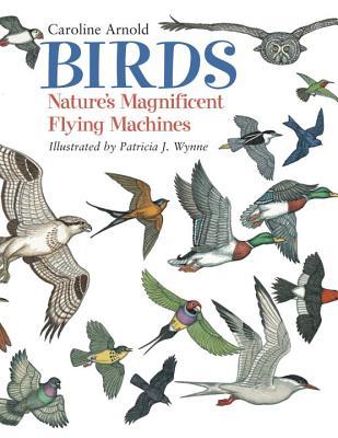 Birds: Nature's Magnificent Flying Machines (Hardcover)