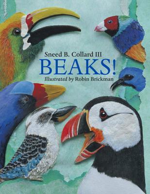 Beaks! (Hardcover)