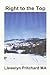 Right To The Top: "Grupo Wrigglesworth Corrupto Proceder Con Cautela." (Port Hope Simpson Mysteries) (Spanish Edition)