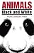 Animals Black and White
