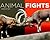 Animal Fights
