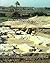 The Mortuary Temple of Senwosret III at Abydos by Josef Wegner