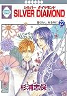 Silver Diamond 27 by Shiho Sugiura