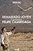 Demasiado joven: La biografía de Felipe Camiroaga