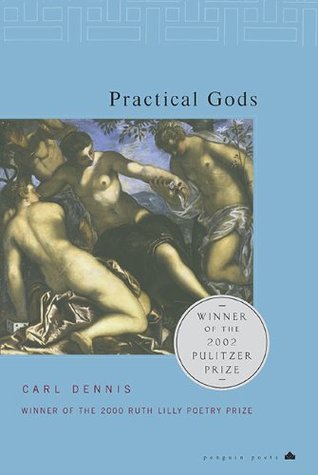 Practical Gods (Paperback)