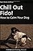 Chill Out Fido!: How to Calm Your Dog (Dogwise Training Manual)
