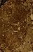 A Golden Chaine: or, the Description of Theology