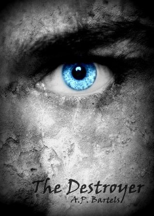 The Destroyer (Kindle Edition)