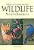 A Field Guide to the Wildlife of North America
