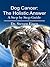 Dog Cancer: The Holistic Answer