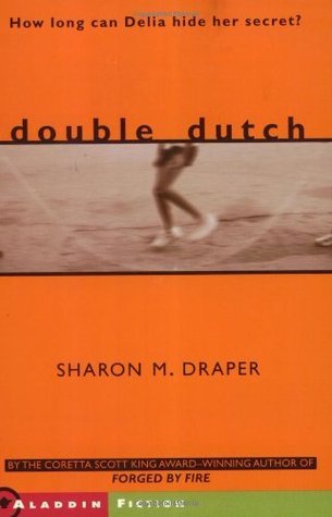 Double dutch journeys book image
