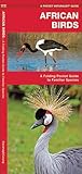 Africa Birds (Nature Observation International)