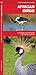Africa Birds (Nature Observation International)