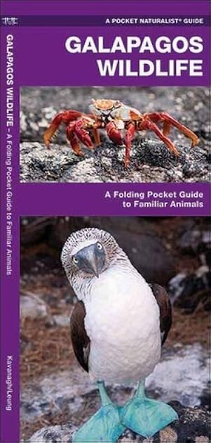 Galapagos Wildlife: A Folding Pocket Guide to Familiar Animals (Wildlife and Nature Identification)