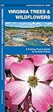 Virginia Trees & Wildflowers: A Folding Pocket Guide to Familiar Plants (Nature Observation North America)